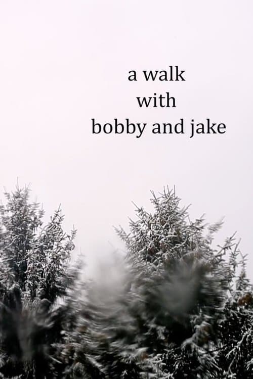 a walk with bobby and jakeのポスター