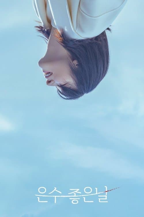 은수 좋은 날のポスター