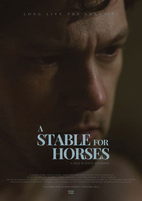 A Stable for Horsesのポスター