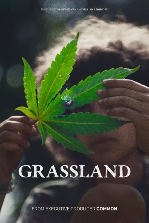 Grasslandのポスター