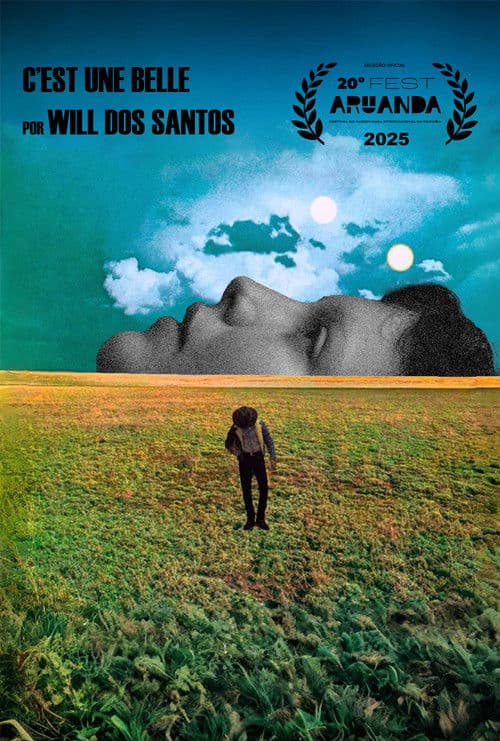 c’est une belleのポスター