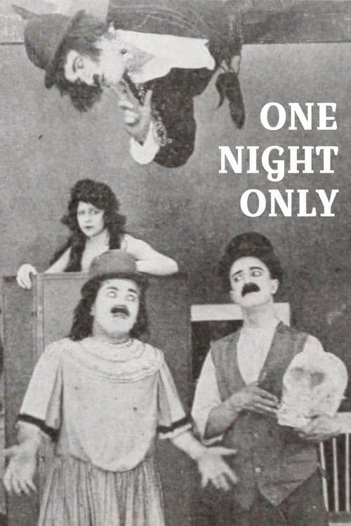 One Night Onlyのポスター