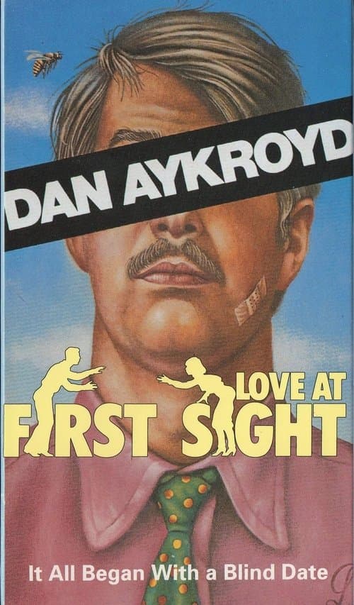 Love at First Sightのポスター