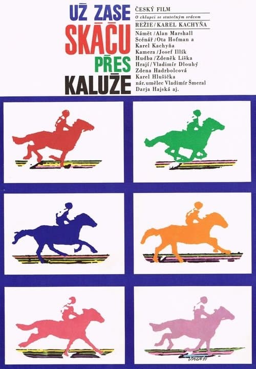 Už zase skáču přes kalužeのポスター