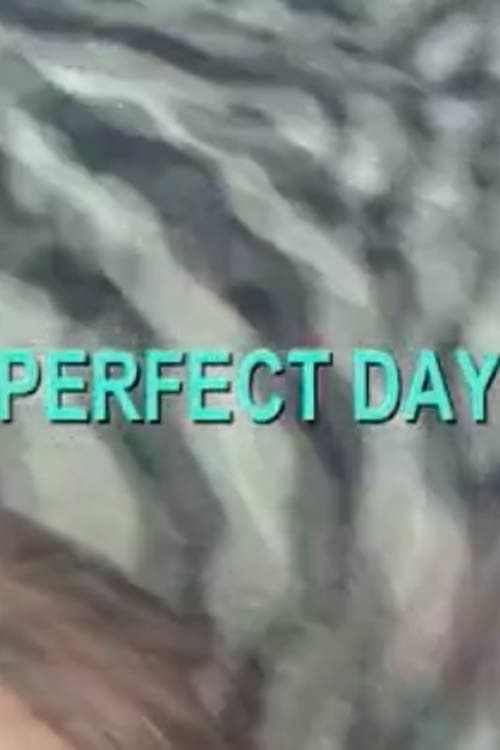 Perfect Dayのポスター
