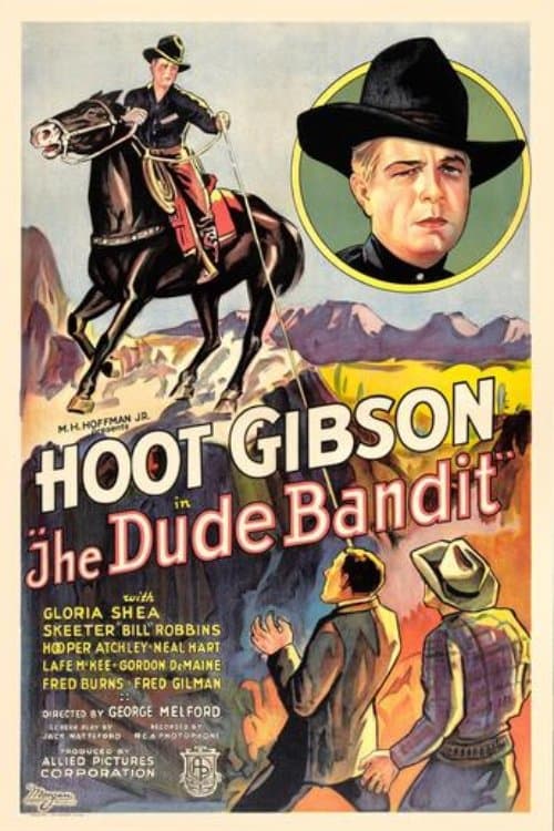 The Dude Banditのポスター