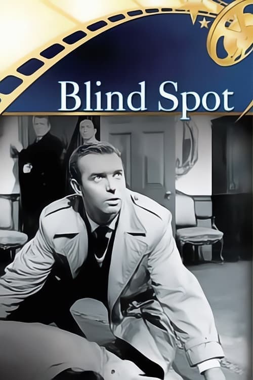 Blind Spotのポスター