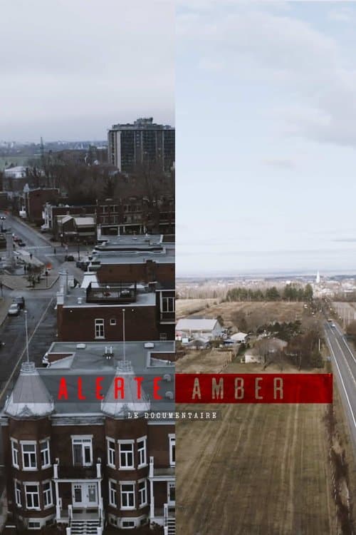 Alerte amber : le documentaireのポスター
