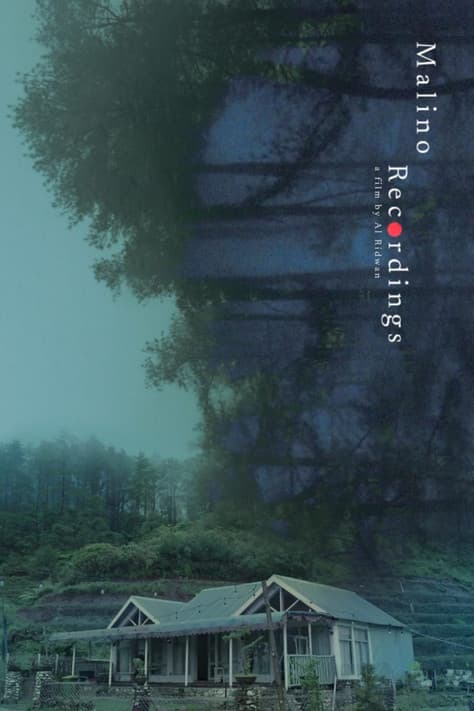 Malino Recordingsのポスター