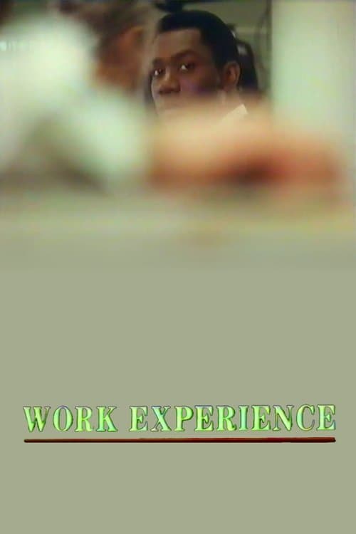 Work Experienceのポスター