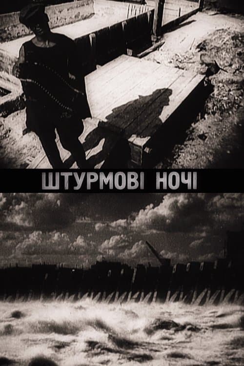 Штурмові ночіのポスター