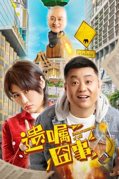 遗嘱囧事のポスター