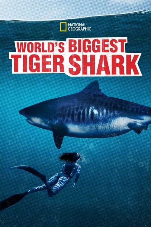World's Biggest Tiger Sharkのポスター