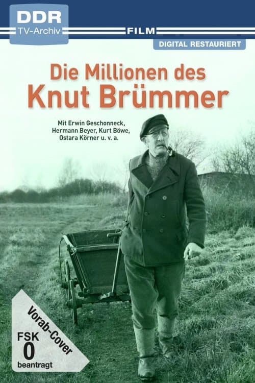 Die Millionen des Knut Brümmerのポスター