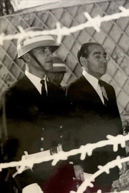 Demirkırat: Adaのポスター