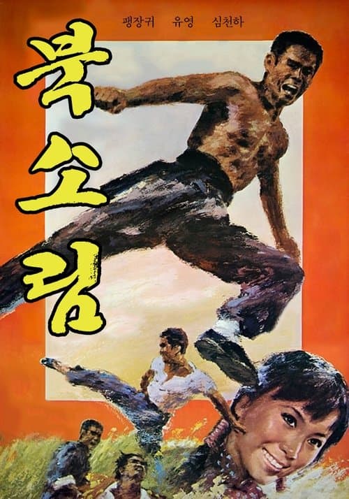 北少林のポスター