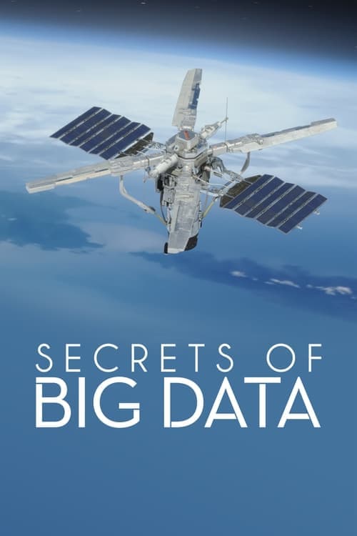 Secrets of Big Dataのポスター