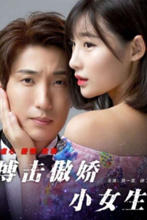 搏击傲娇小女生のポスター