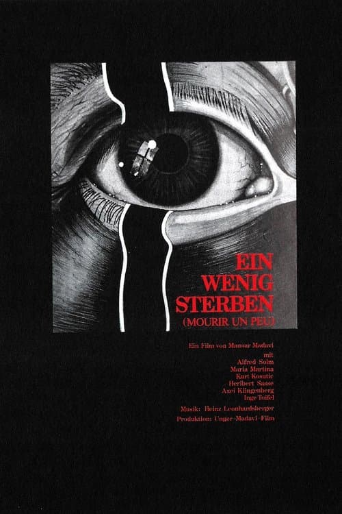 Ein wenig sterbenのポスター