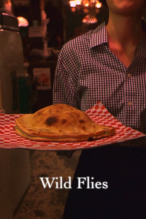 Wild Fliesのポスター