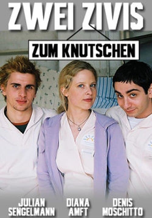 Zwei Zivis zum Knutschenのポスター