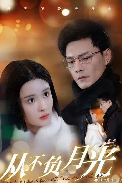 从不负月光のポスター