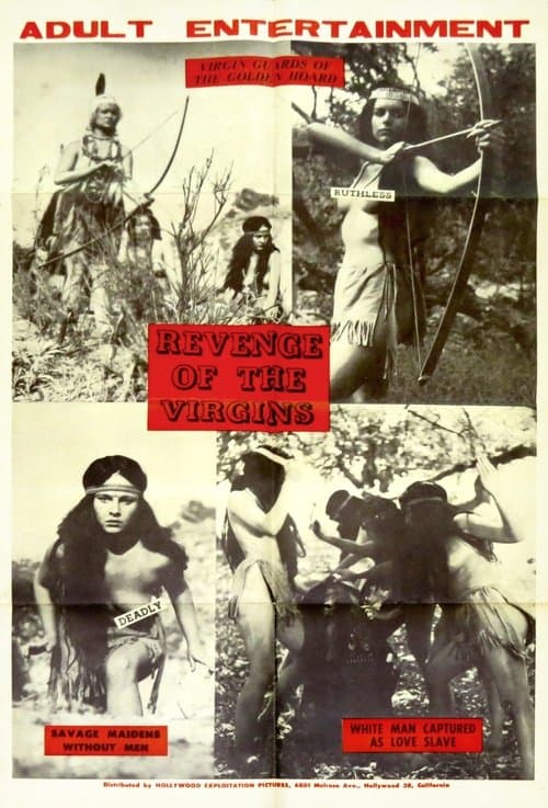 Revenge of the Virginsのポスター