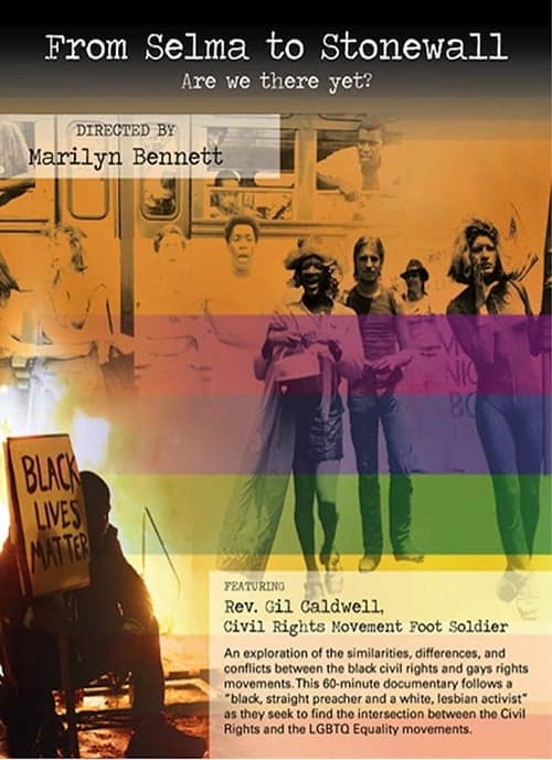 From Selma to Stonewall: Are We There Yet?のポスター