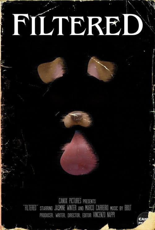 Filteredのポスター