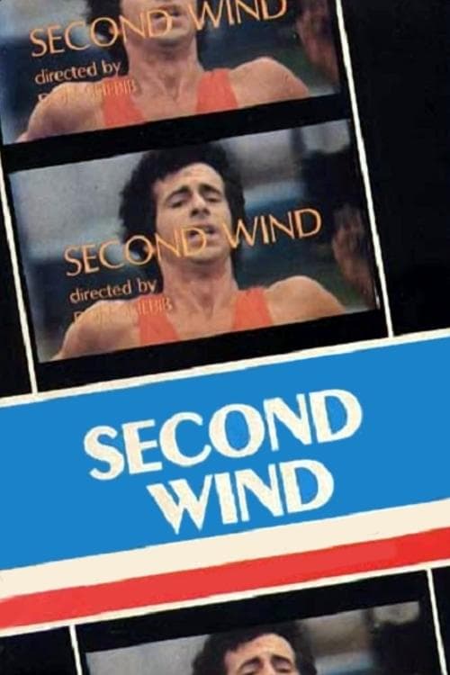Second Windのポスター