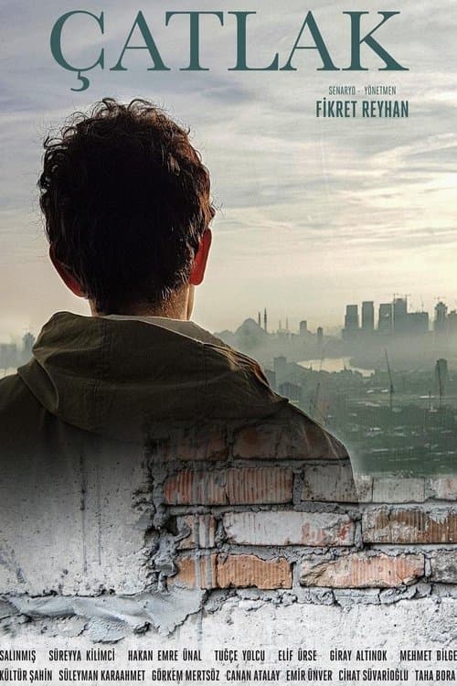 Çatlakのポスター