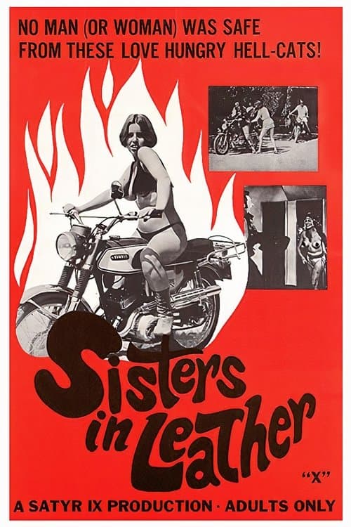Sisters in Leatherのポスター