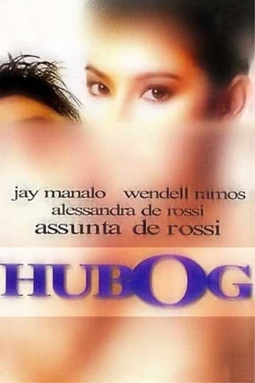 Hubogのポスター