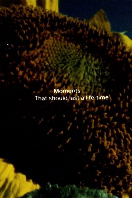 Illuminated Textsのポスター