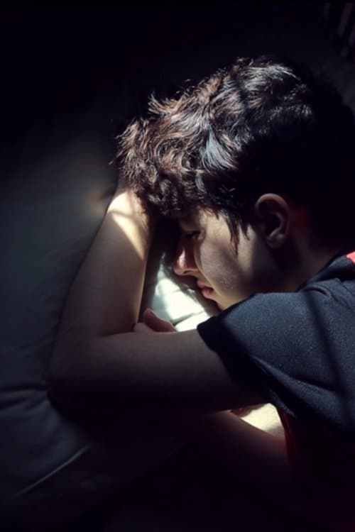 Lorenaのポスター