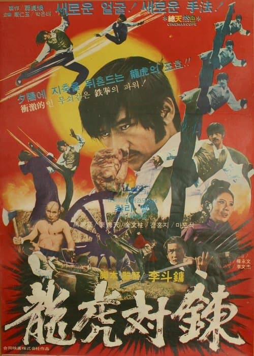 용호대련のポスター