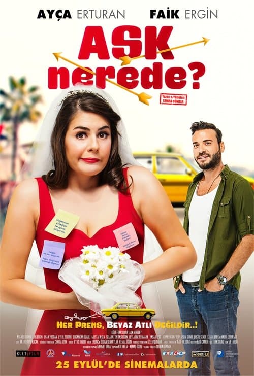 Aşk Nerede?のポスター
