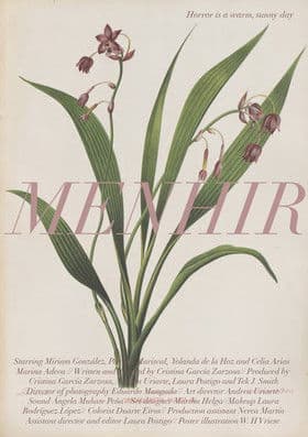 Menhirのポスター