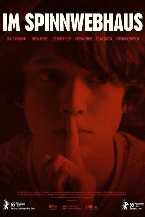 Im Spinnwebhausのポスター