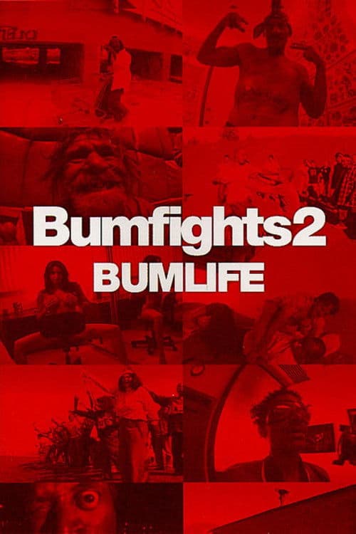Bumfights Vol. 2: Bumlifeのポスター