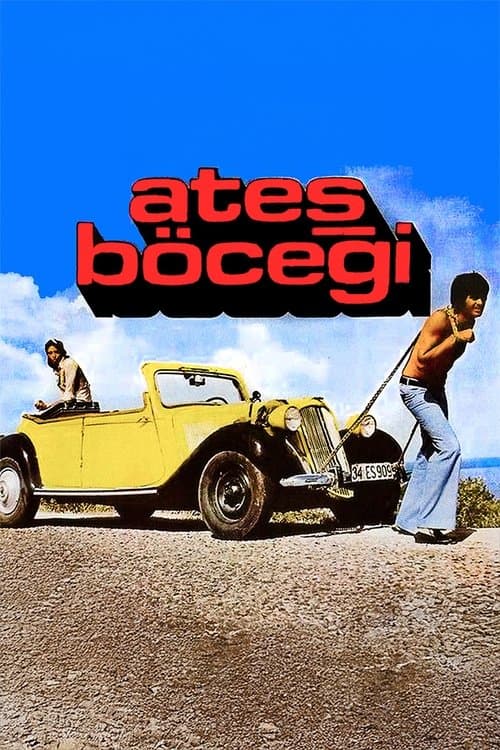 Ateş Böceğiのポスター