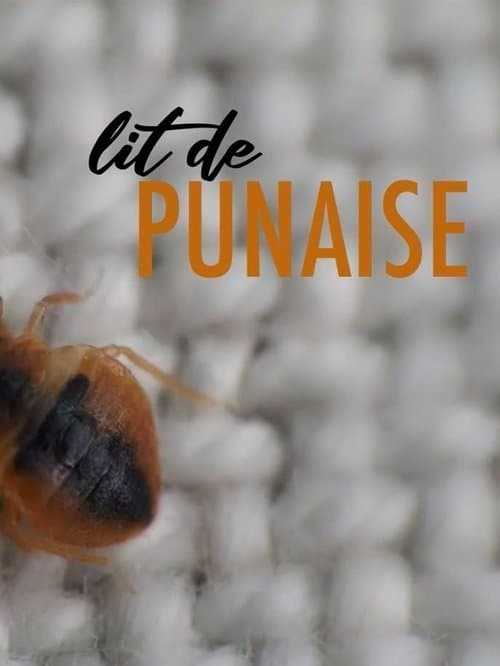 Lit de punaiseのポスター