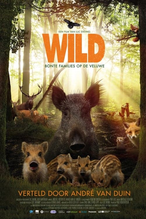 Wildのポスター