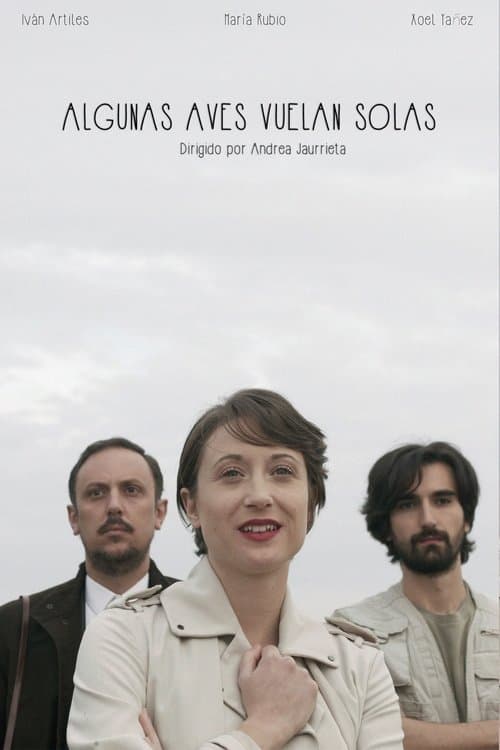 Algunas aves vuelan solasのポスター