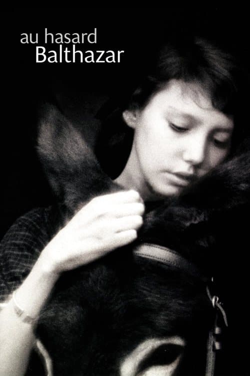 バルタザールどこへ行くのポスター