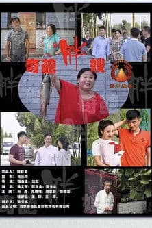 奇葩胖嫂のポスター