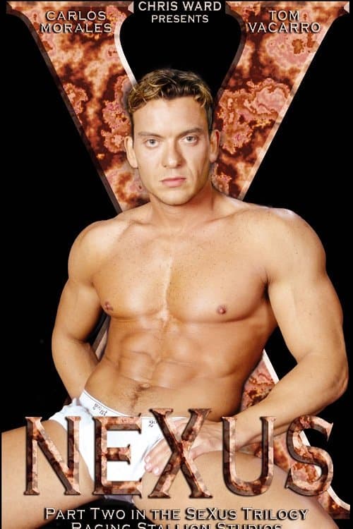 NeXusのポスター