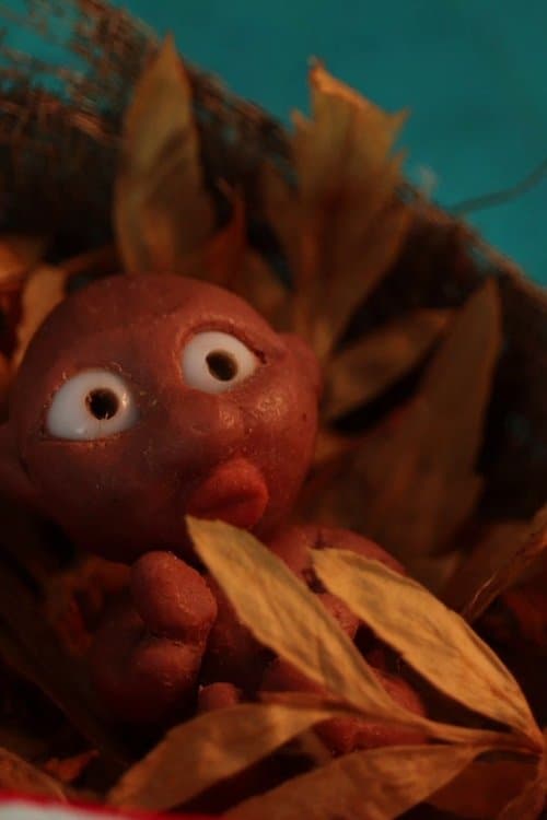 Paraguaçuのポスター