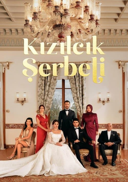Kızılcık Şerbetiのポスター
