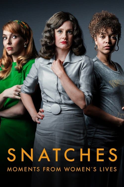Snatches: Moments from Women's Livesのポスター